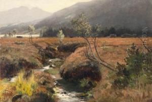 Im Moor Vor Grauen Bergen by Emilie Mediz-Pelikan