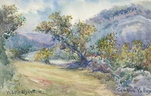 Cambus Valley Cambus Valley
