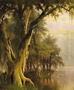 Florida Lowlands by Joseph Rusling Meeker