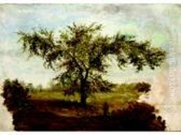 Tree Study, October 8th - view 1