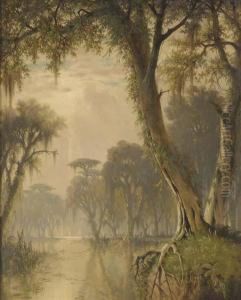 On The Banks Of The Bayou