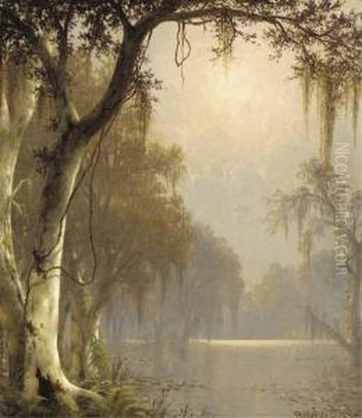 Sunlight On The Bayou - view 1
