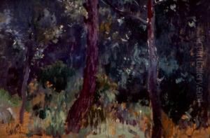 "paisaje Nocturno".