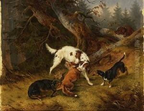 Jagdhunde Haben Eine Fuchs
Gefangen. - view 1