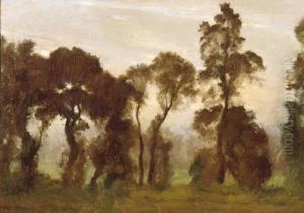 Misty Landscape - view 1