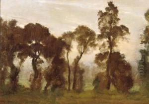 Misty Landscape