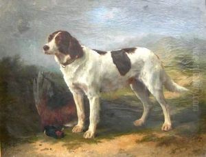 Chien De Chasse Chien De Chasse