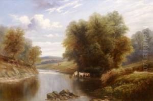 Riverscape With Cattle Watering