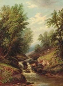 'brook In The Glen