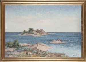 Sjofaglar by Rolf Mellstrom