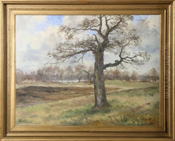 Landskap - view 1