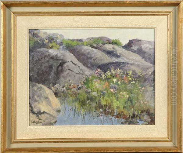 Blommor Bland Klippor - view 1