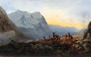 A Highland Dawn, Pass Of Glencoe, Scotland by Andrew Melrose