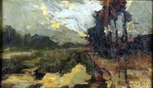 Paysage Paysage