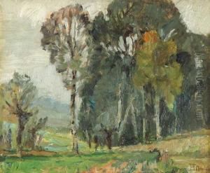 Collina Torinese by Francesco Mennyey
