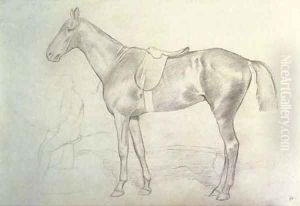 Cheval avec etude de cavalier by Edgar Degas