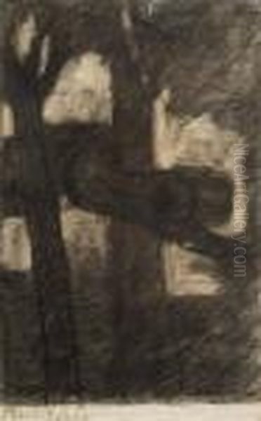 Figura Tra Gli Alberi Controluce - view 1