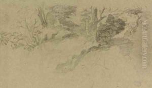 Etude d'arbres by Edgar Degas