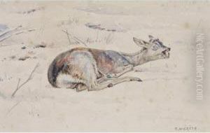 Chevreuil Blesse Dans La Neige by Edouard Paul Merite