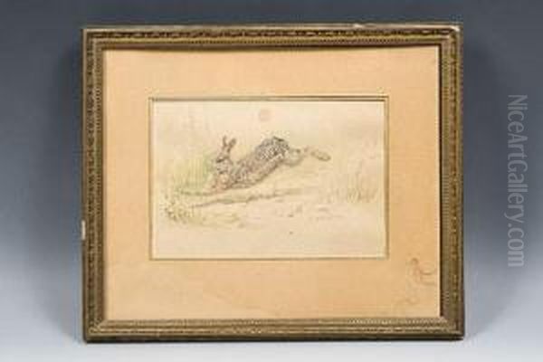 Le Lievre. - view 1
