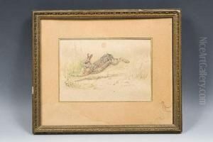 Le Lievre. by Edouard Paul Merite