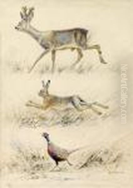 Brocard Lievre Et Faisan - view 1