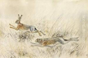 Deux Lievres by Edouard Paul Merite