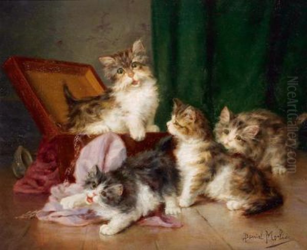 Katzenfamilie - view 1