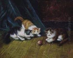 Kittens At Play