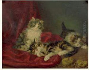 Les Chatons