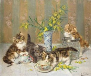 Jeunes Chats