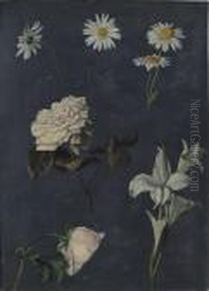 Studio Di Fiori Primaverili - view 1