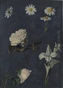 Studio Di Fiori Primaverili by Camillo Merlo