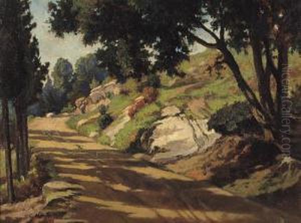 Strada Di Campagna - view 1