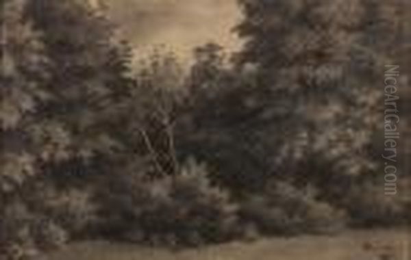 Paesaggio - view 1