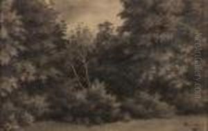 Paesaggio by Camillo Merlo