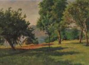 Nel Bosco Nel Bosco
