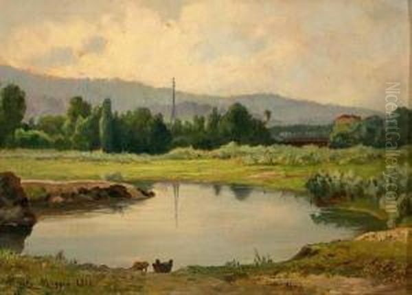 Piccolo Stagno - view 1