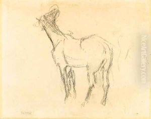 the first Study of a Horse raising his Head towards the Left by Edgar Degas