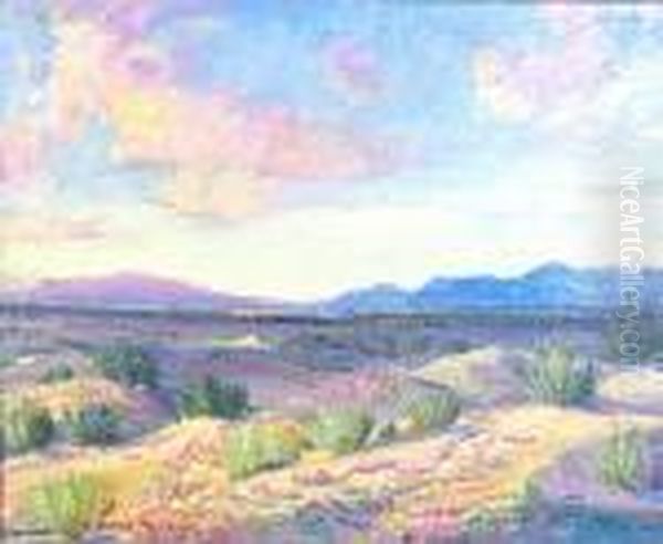 Clouds Over The Desert In Bloom - view 1