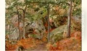 Sous-bois Sous-bois