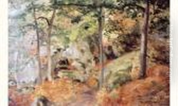 Chemin Dans La Foret - view 1