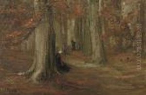 Autumn Forest Autumn Forest
