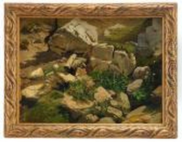 Study Of Rocks And Plants - view 1