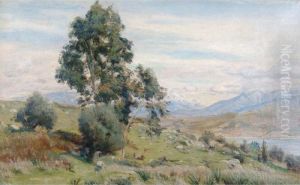 Paisaje by Felix Mestres Borrell