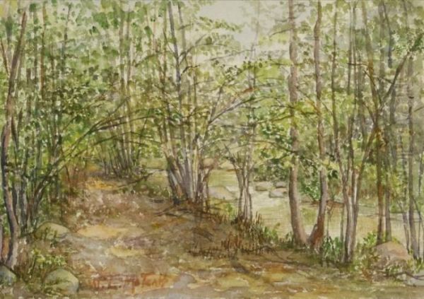 Path Along A Stream Through The Woods - view 1