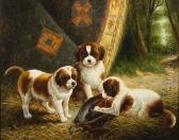 A Study Of St Bernard Puppies - view 1