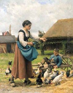 Feeding chicken by Julien Dupre