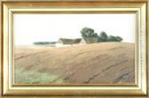 A Danish Field Landscape - view 1