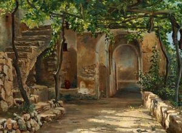 Sun And Shadow In A Pergola, Italy - view 1